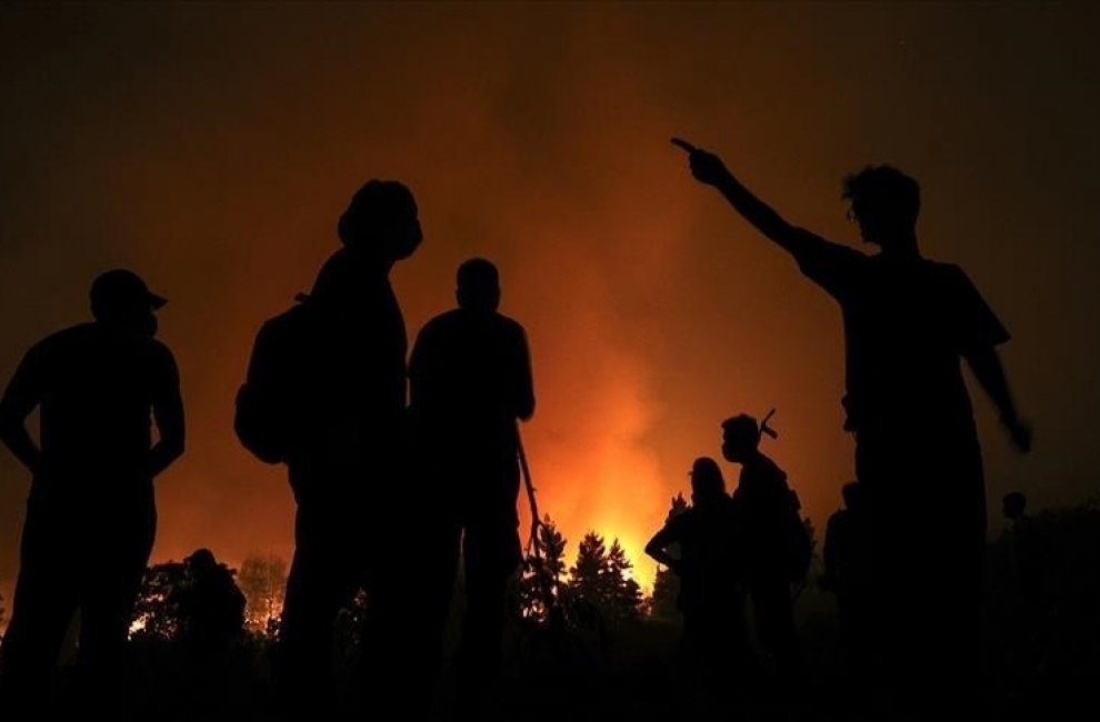 Жертвами лесных пожаров в Алжире стали десятки человек